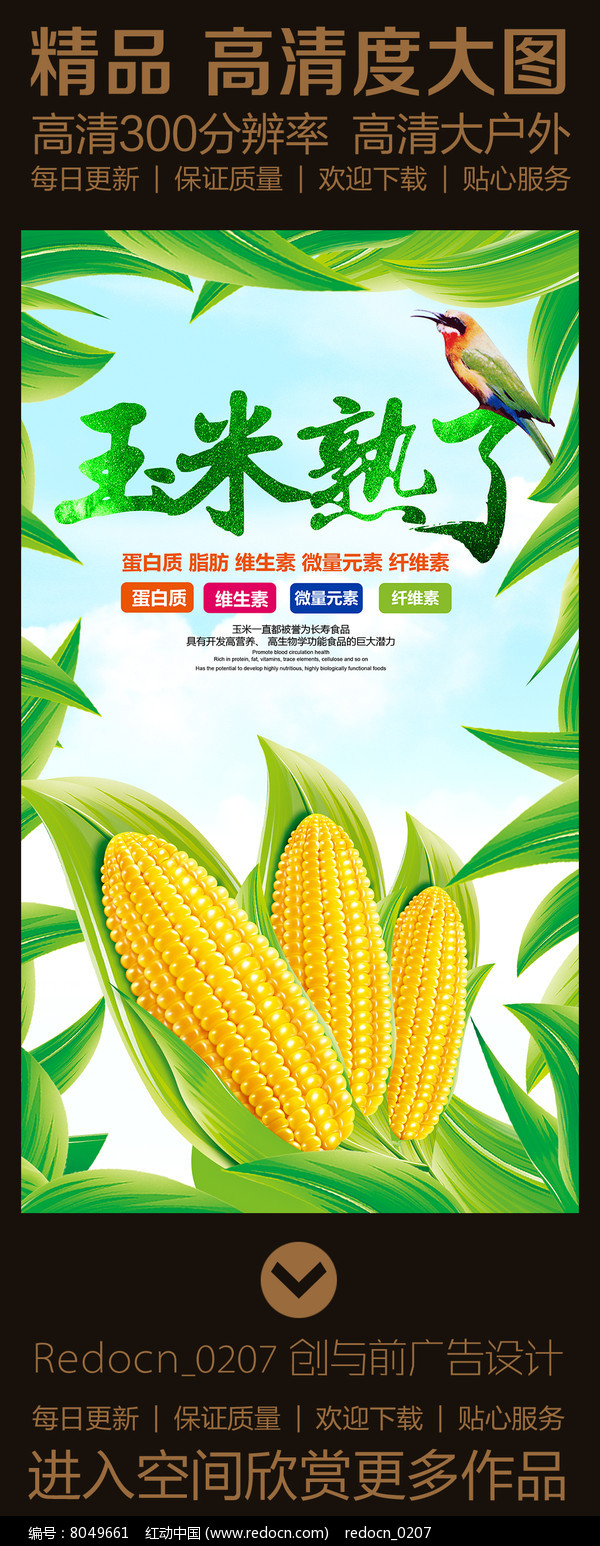 黄金玉米・甜蜜相约 —— 自然鲜甜限时特惠