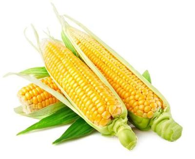 糯玉米和甜玉米